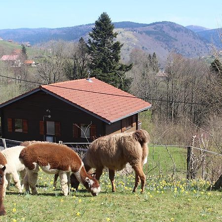 Chalet Les Bouleaux, La Montagne Des Lamas La Bresse Buitenkant foto