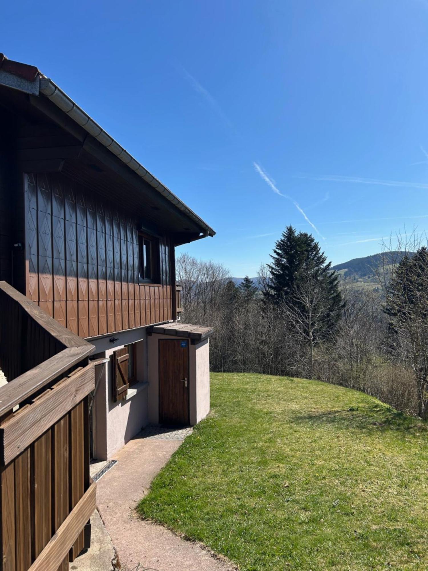 Chalet Les Bouleaux, La Montagne Des Lamas La Bresse Buitenkant foto