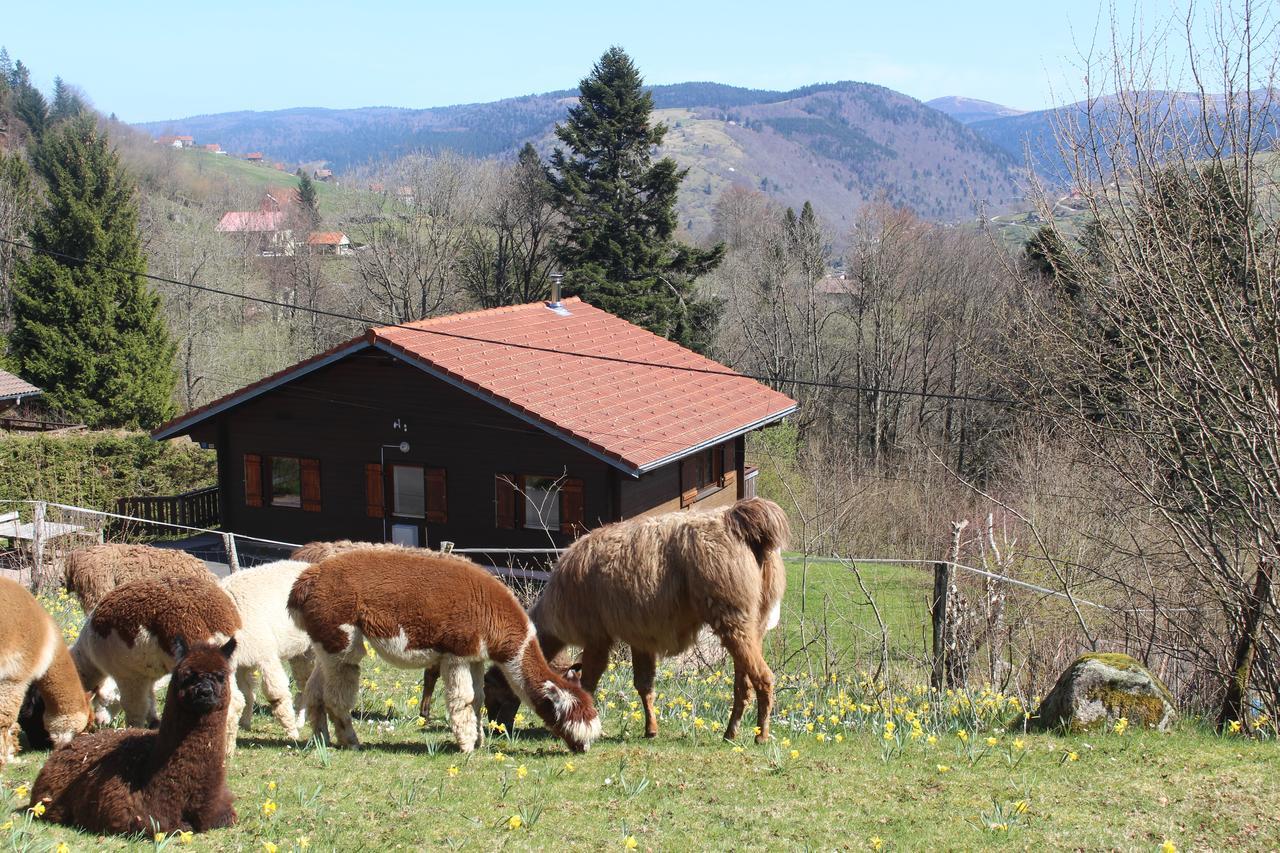 Chalet Les Bouleaux, La Montagne Des Lamas La Bresse Buitenkant foto