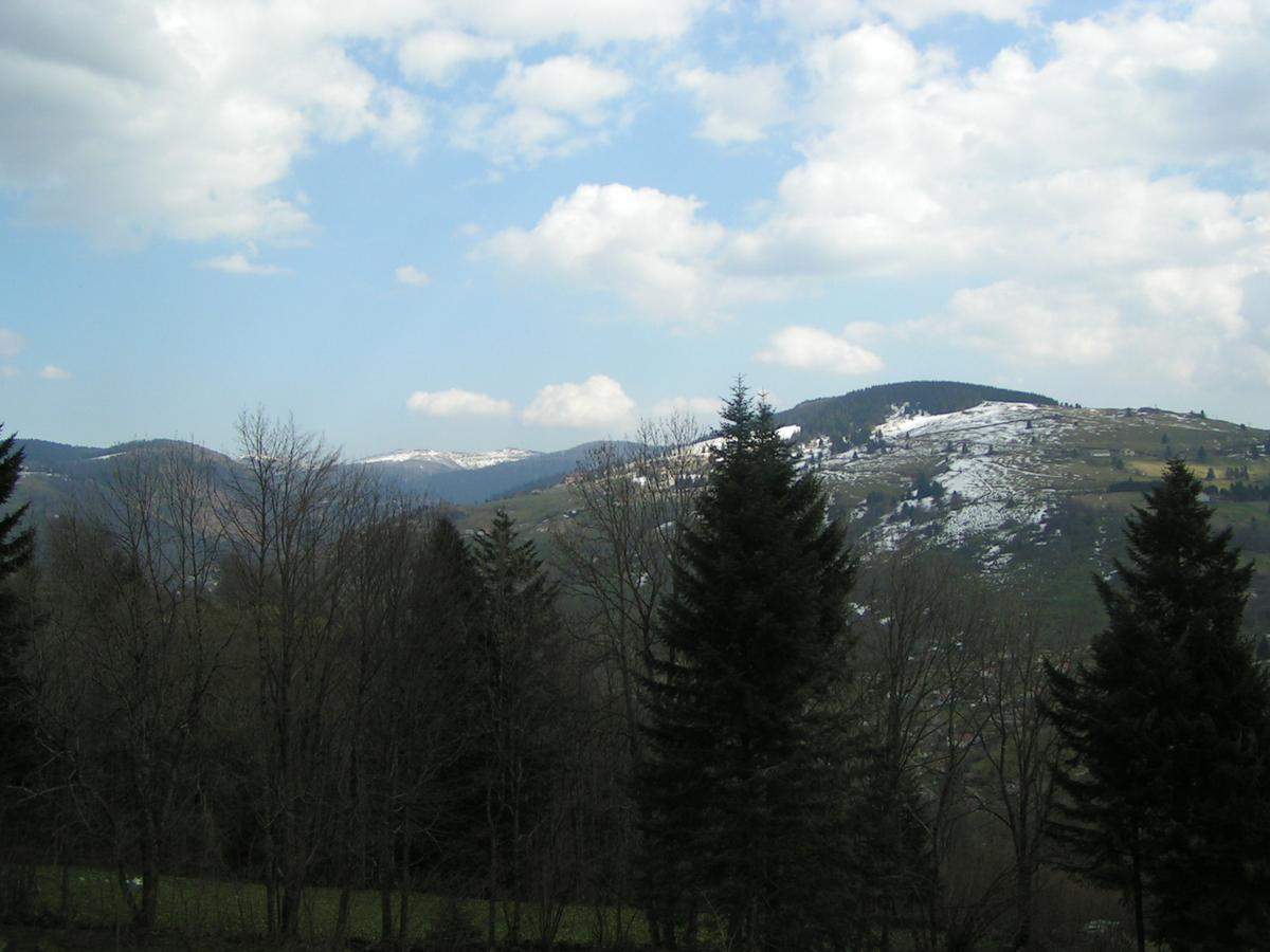 Chalet Les Bouleaux, La Montagne Des Lamas La Bresse Buitenkant foto