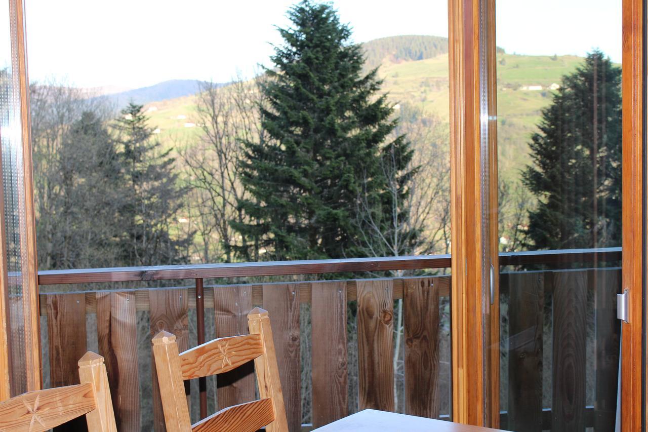 Chalet Les Bouleaux, La Montagne Des Lamas La Bresse Buitenkant foto