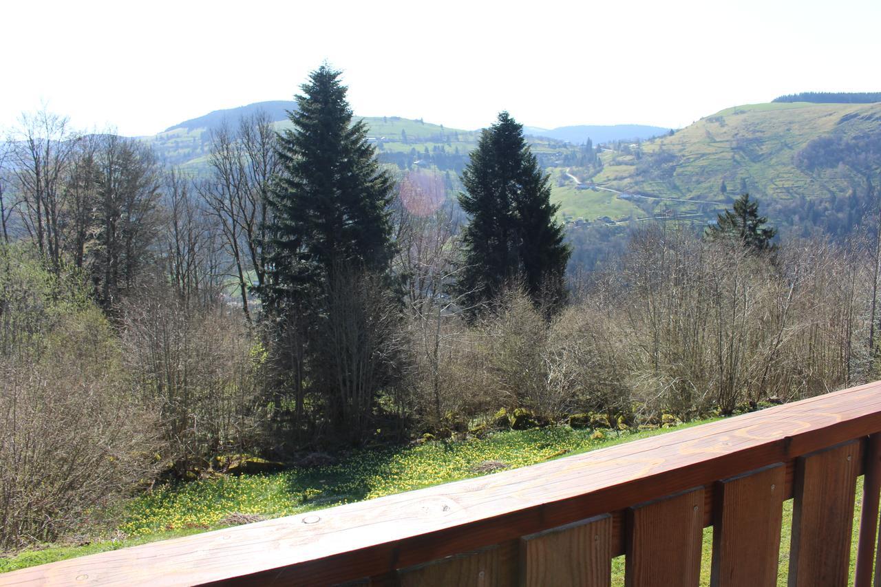 Chalet Les Bouleaux, La Montagne Des Lamas La Bresse Buitenkant foto